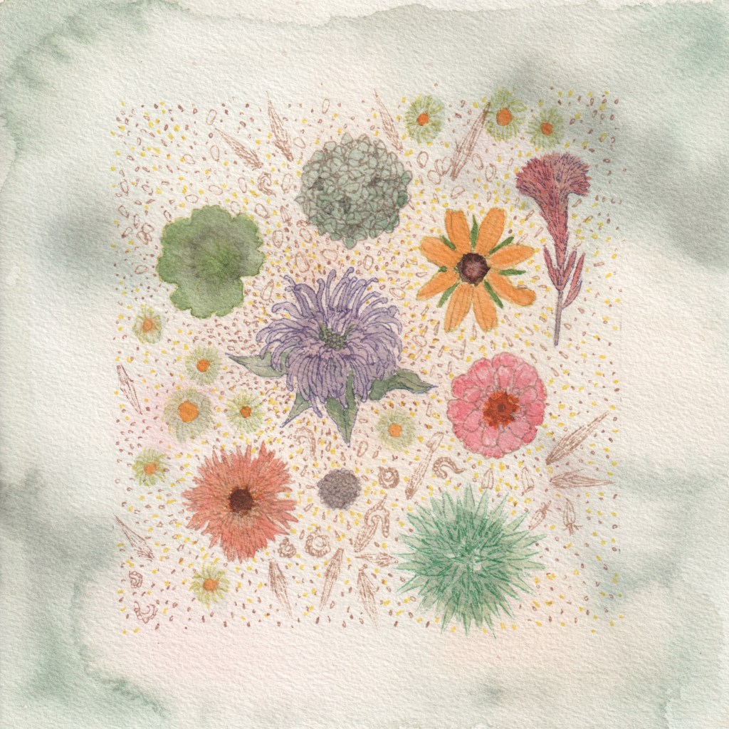 Watercolor painting of various flowers and plant parts