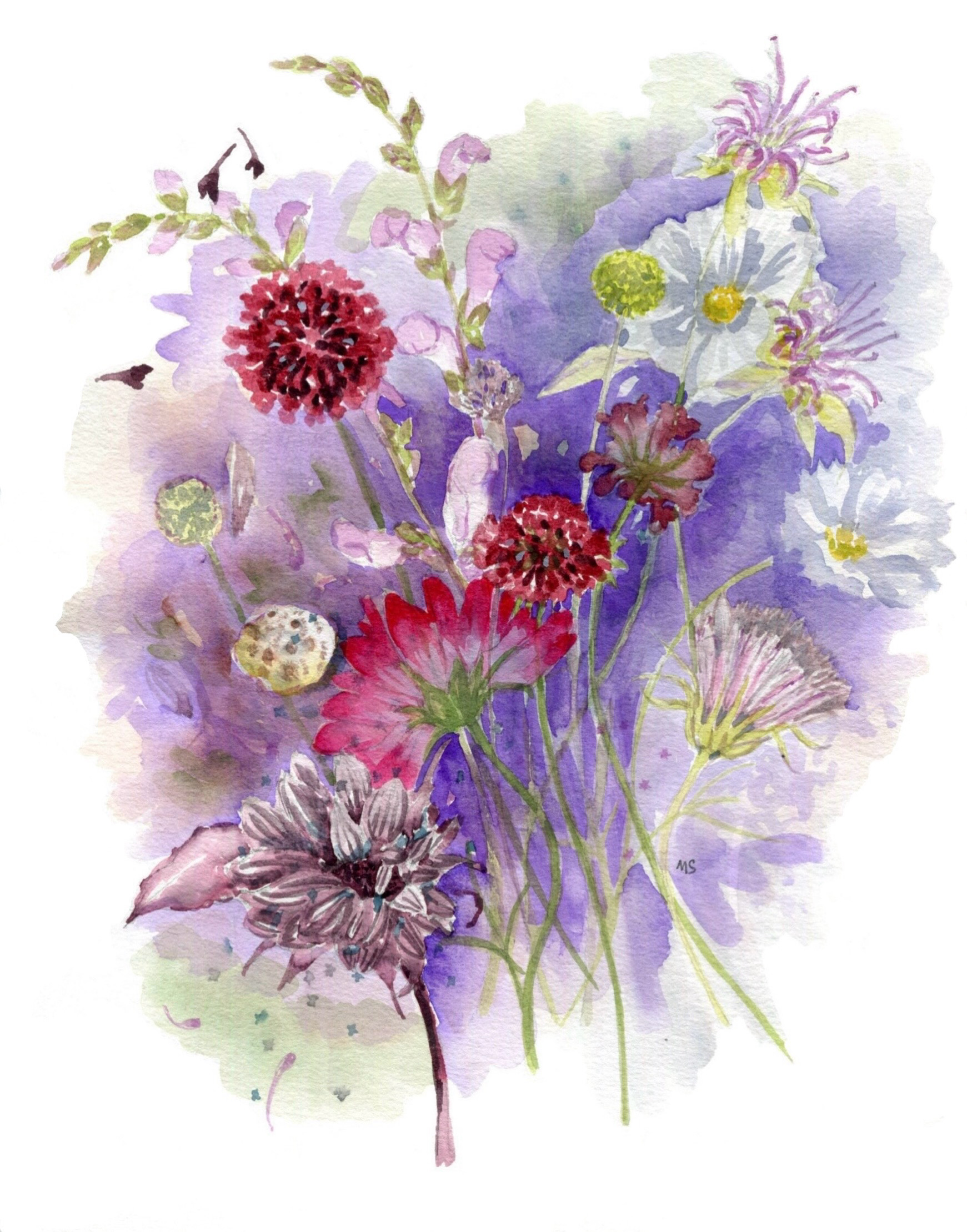 watercolor paintings of summer flowers